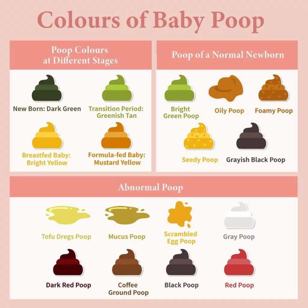 Understanding Infant Poop Color: What Different Colors May Mean for ...